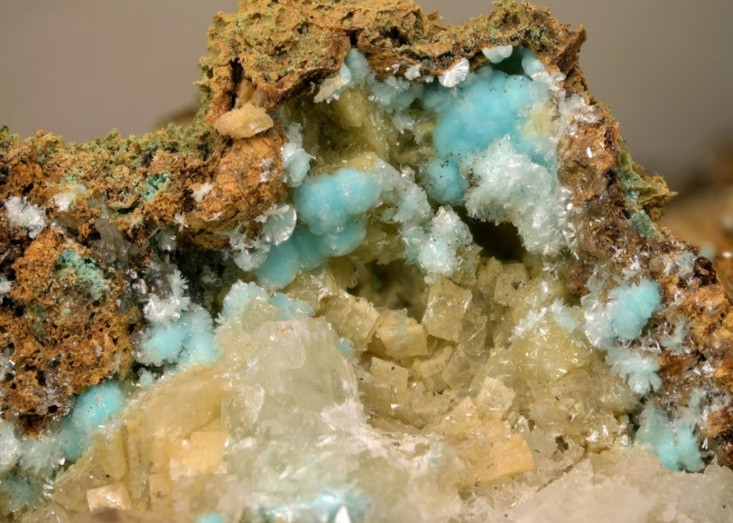 Image 10000000000002DD0000020BFEA1D4DA2F1966B7.jpg