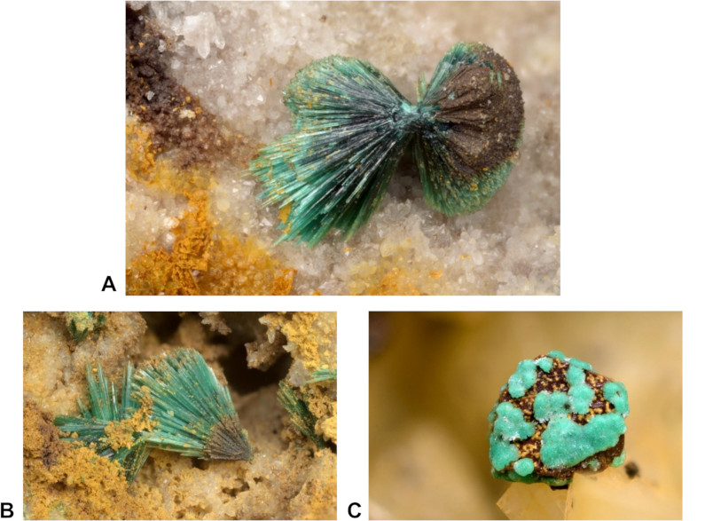 Image 100000000000031B0000024BE70831555AE3B630.jpg