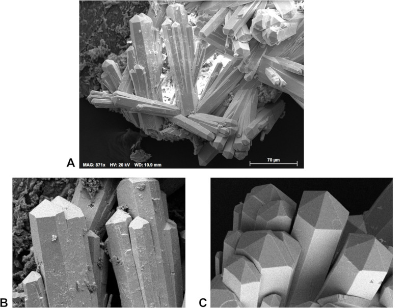 Image 100000000000031B0000025D71734E70A253CD41.jpg