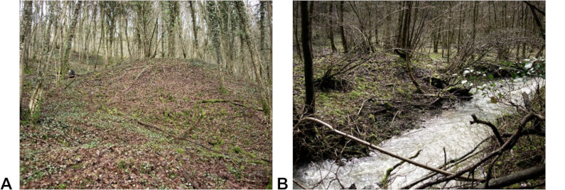 Image 100000000000031B0000010C93F57940B32360C7.jpg