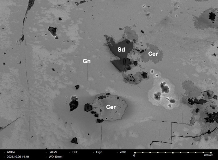 Image 10000000000002C200000208B946435B868EF1E5.jpg