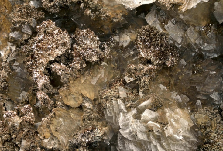 Image 10000000000002DE000001F174F67CDFC2B88C35.jpg