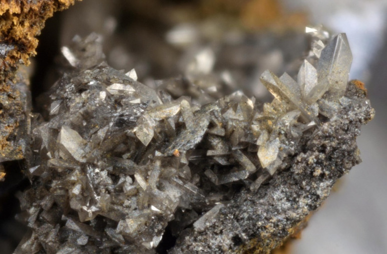 Image 1000000000000305000001FB3FA78444F3EF1063.jpg