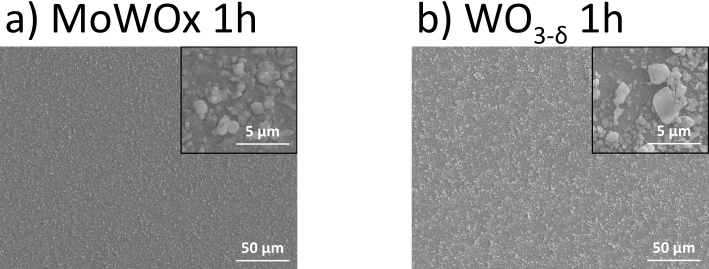 Image 10000201000002C50000010DECE0F2811B171BB2.png