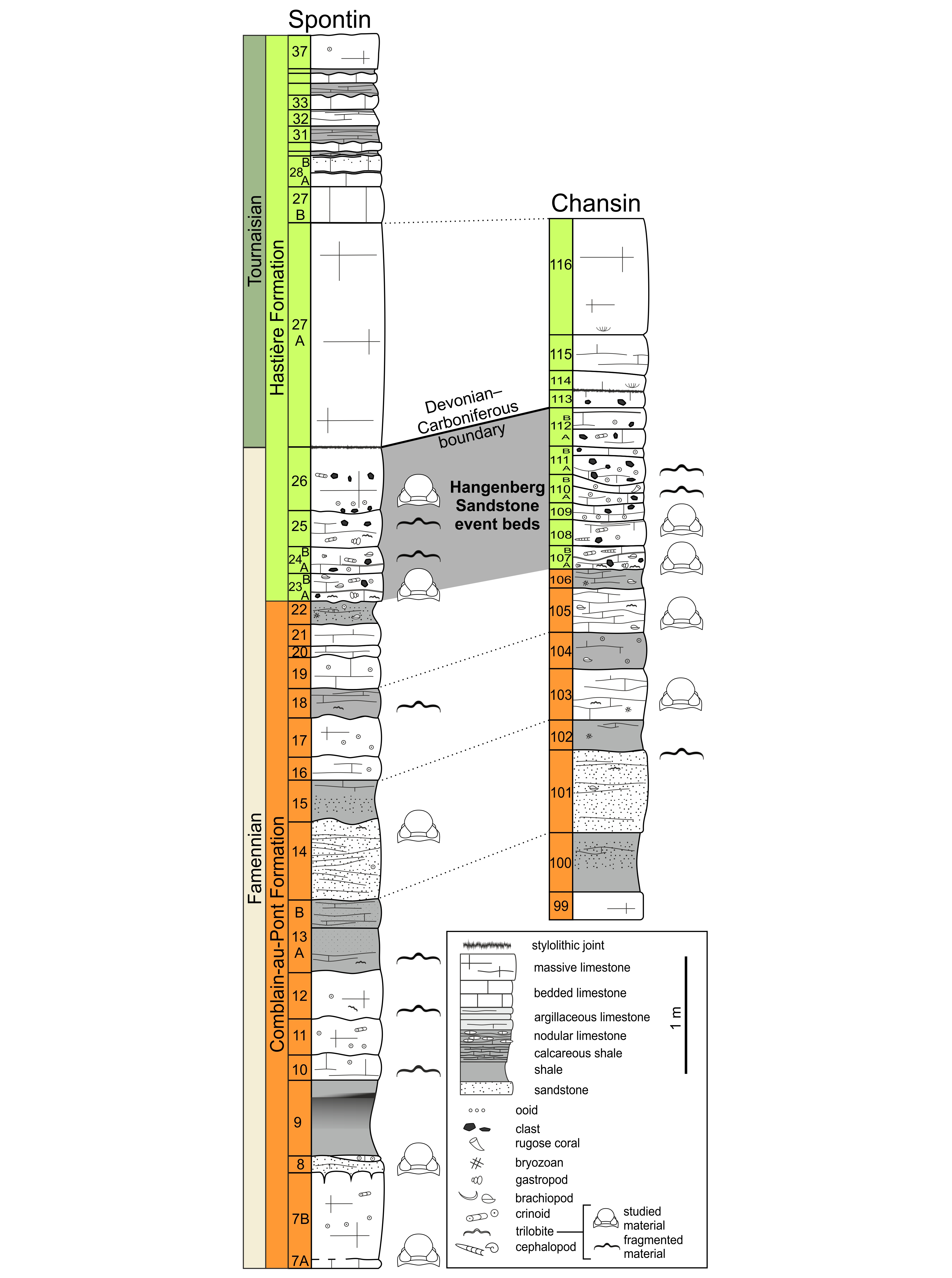 Image 1000000000000F2400001451CEA7BE2046FCEF07.png