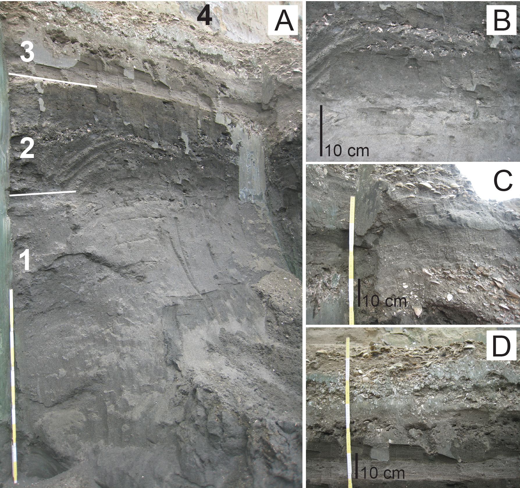 Image 10000000000006FC0000068DDA38EBB6.jpg