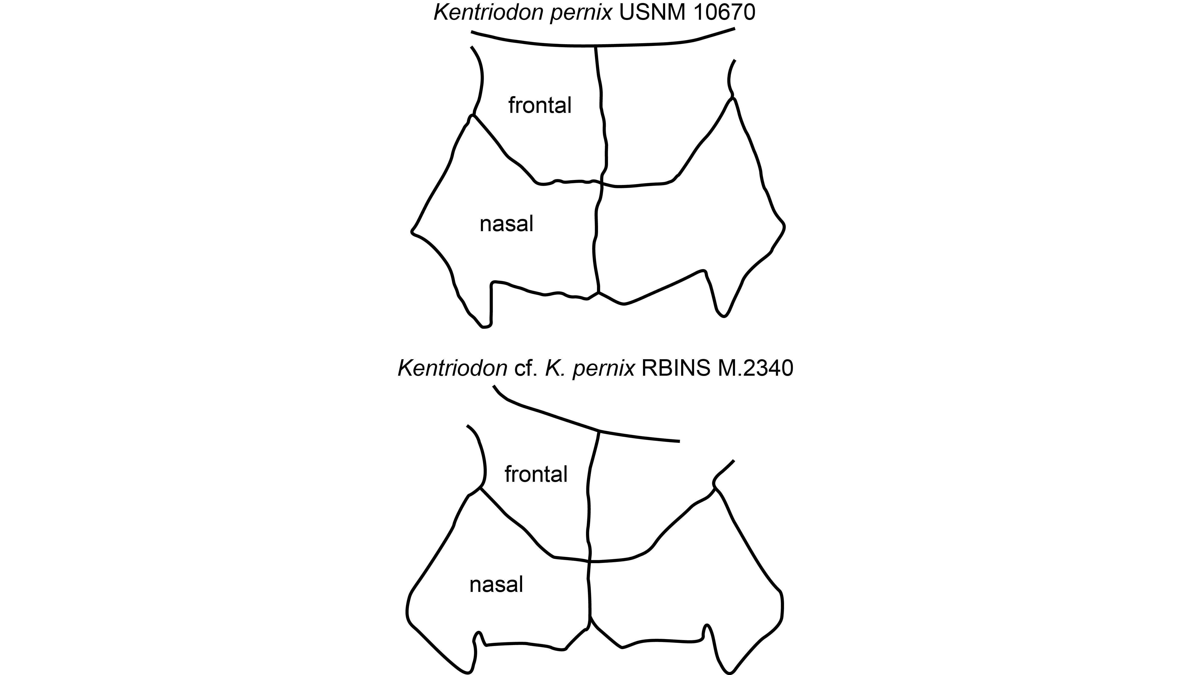 Image 10000000000012A200000A902B3FE504.jpg