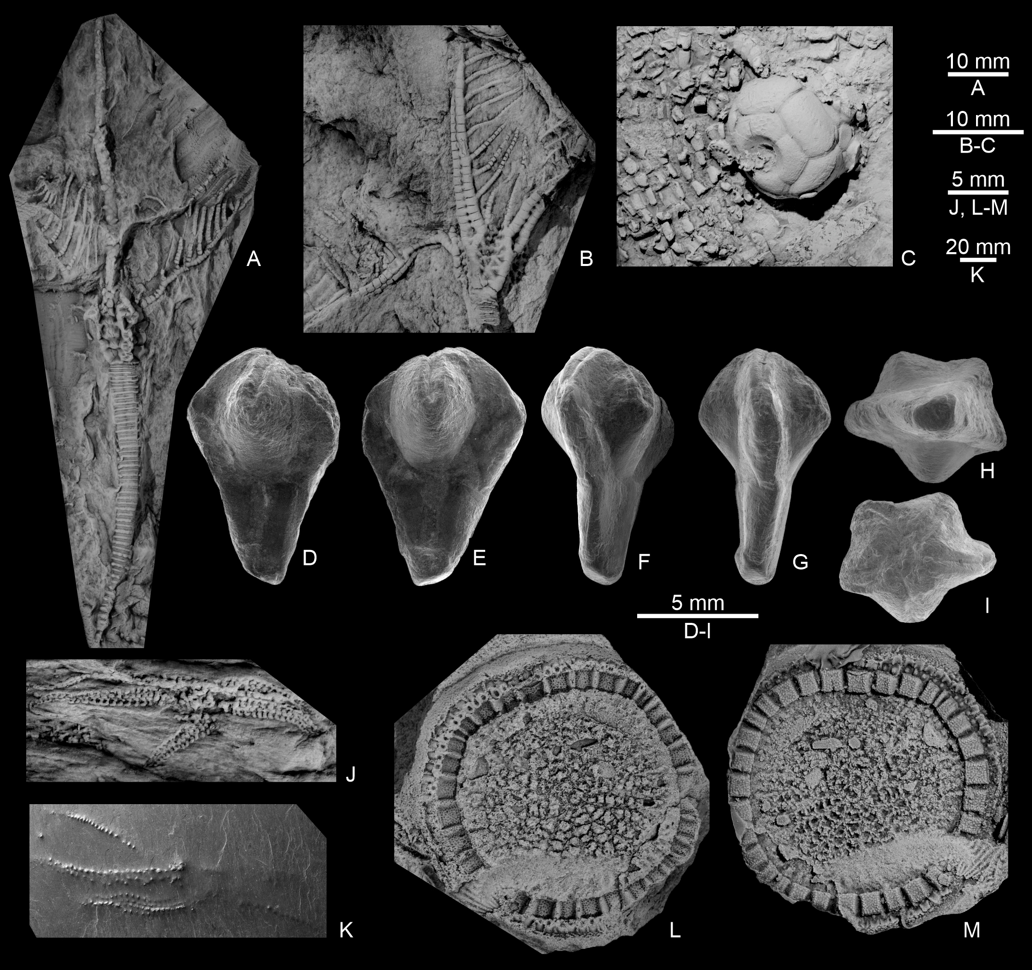 Image 10000000000007DA0000076102B85E5B.jpg