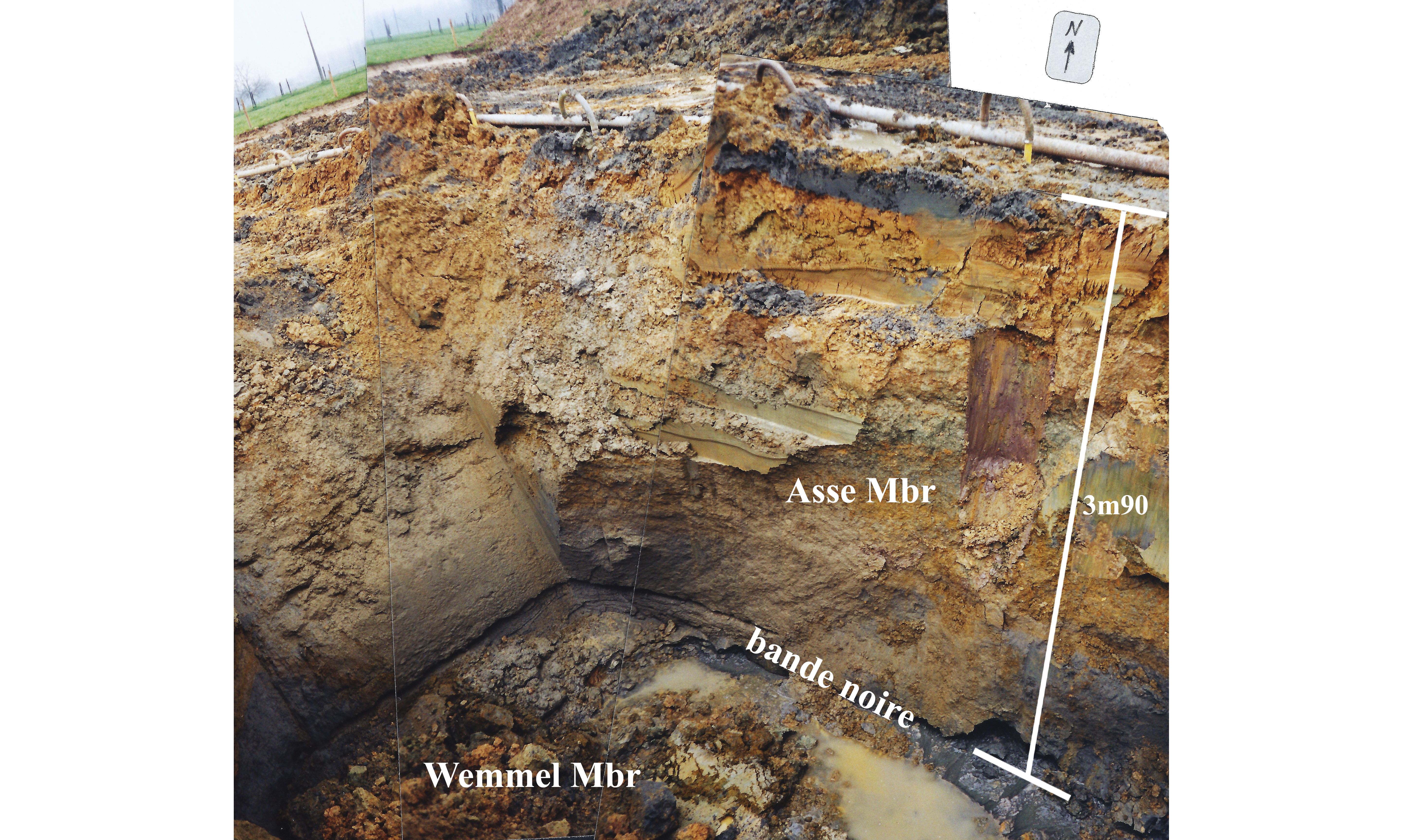 Image 100000000000168800000D7D07C3F2C4.jpg