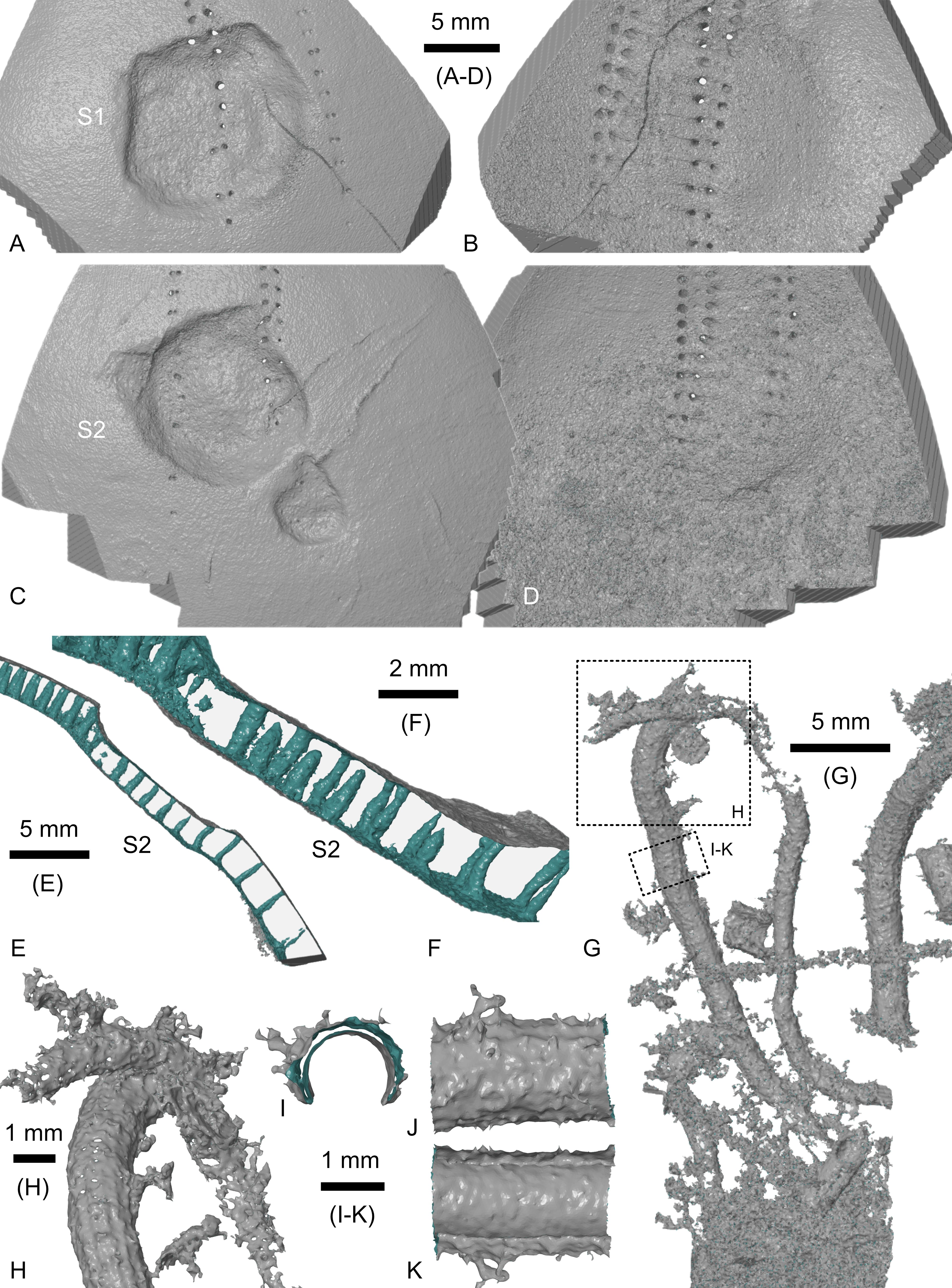 Image 1000000000000FB00000153AFB6527FE.jpg