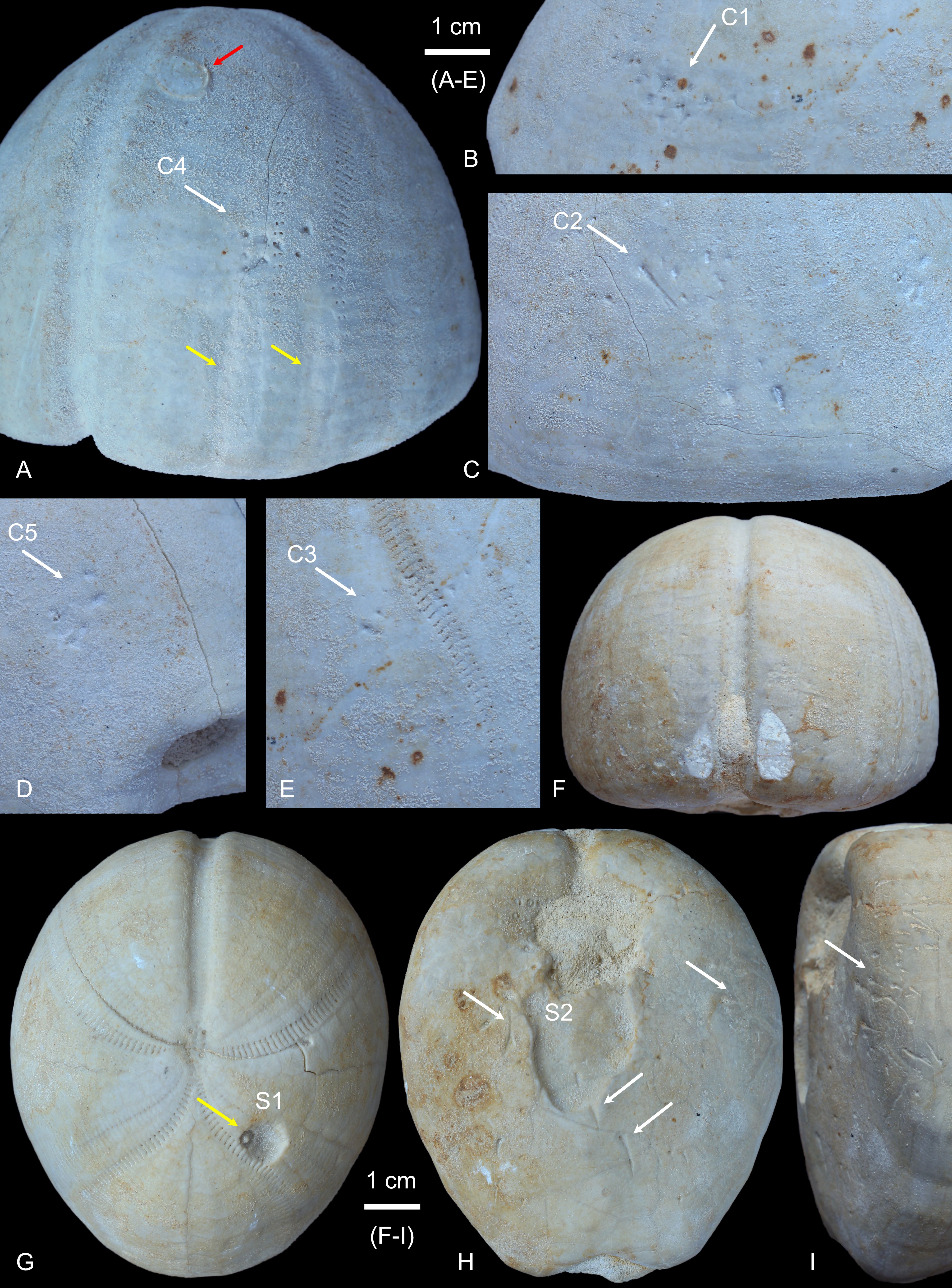 Image 1000000000000FB00000153ACD6021A8.jpg