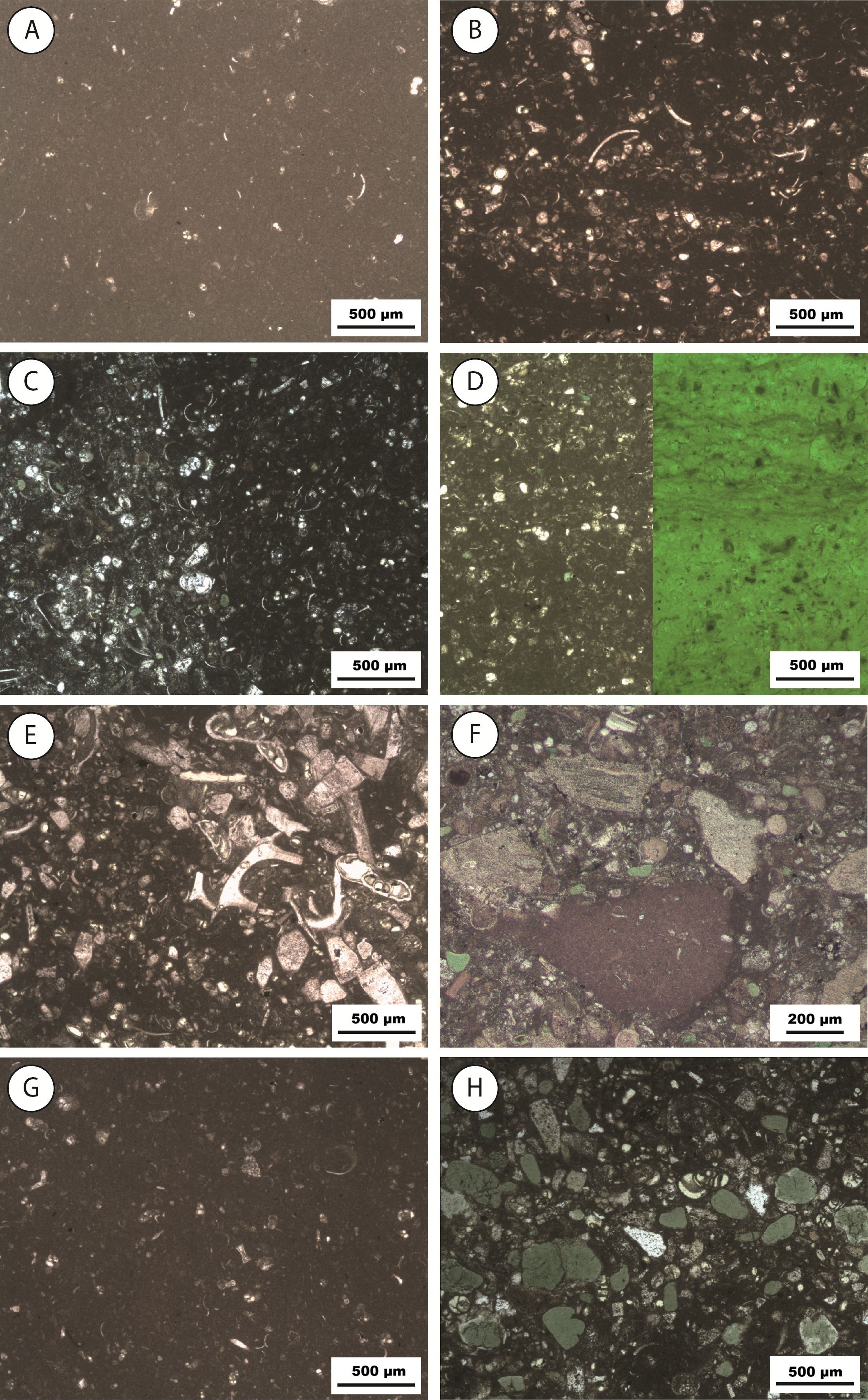 Image 100000000000089B00000DE0220FB539.jpg