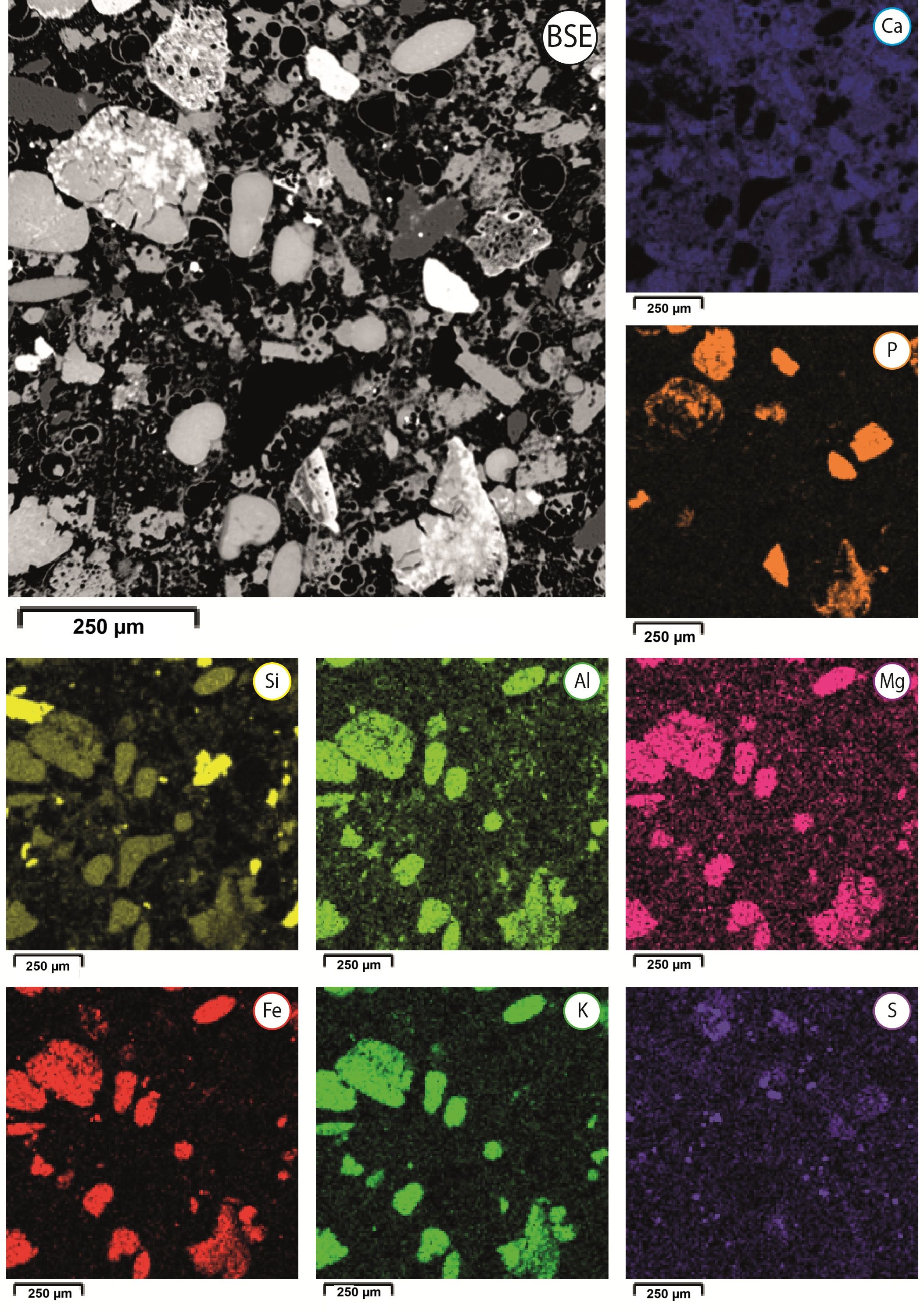 Image 100000000000083A00000BB2021B907B.jpg