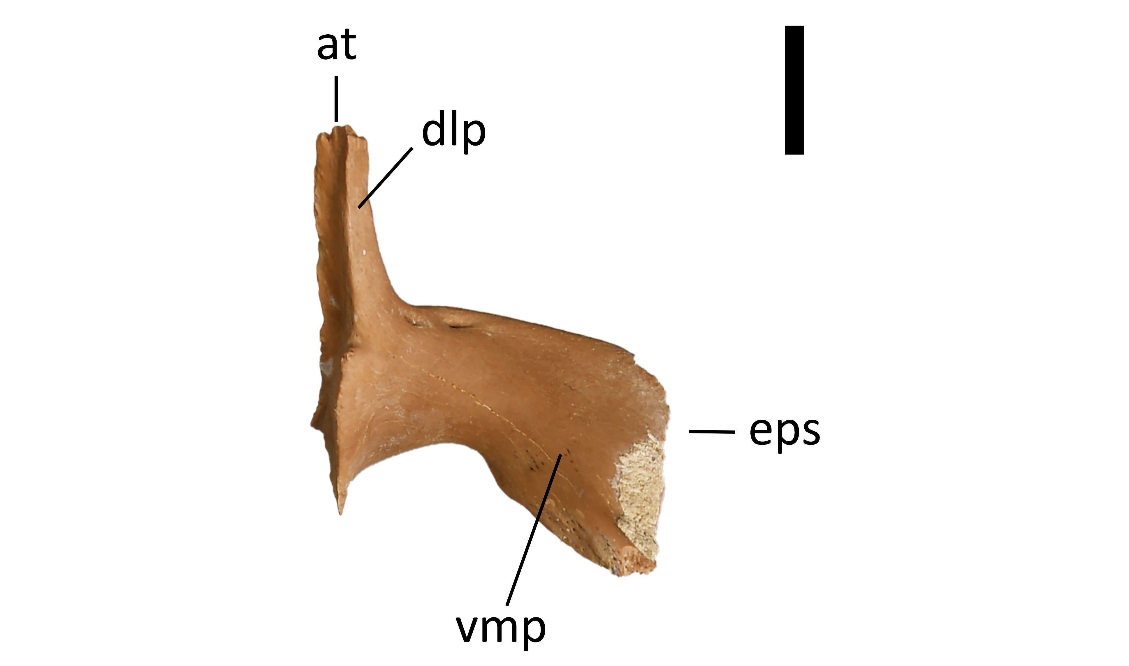 Image 1000000000000F22000008F0F560DC6D.jpg