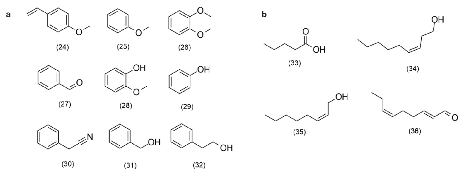 Image 10000000000005D200000232176845573BBF0E45.jpg