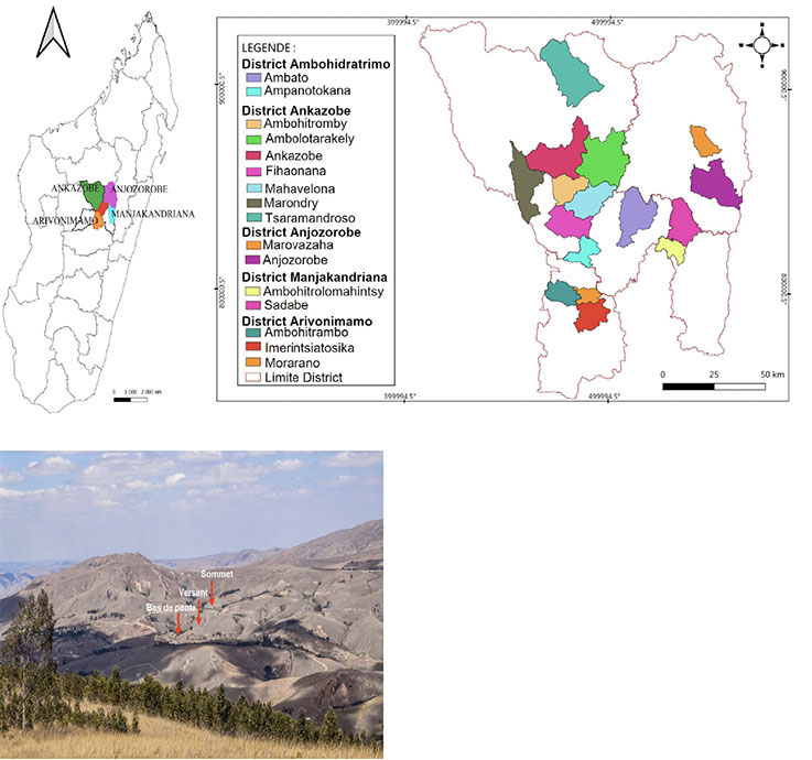 Image 10000000000002E1000002B202EC8431AE58B0C9.jpg