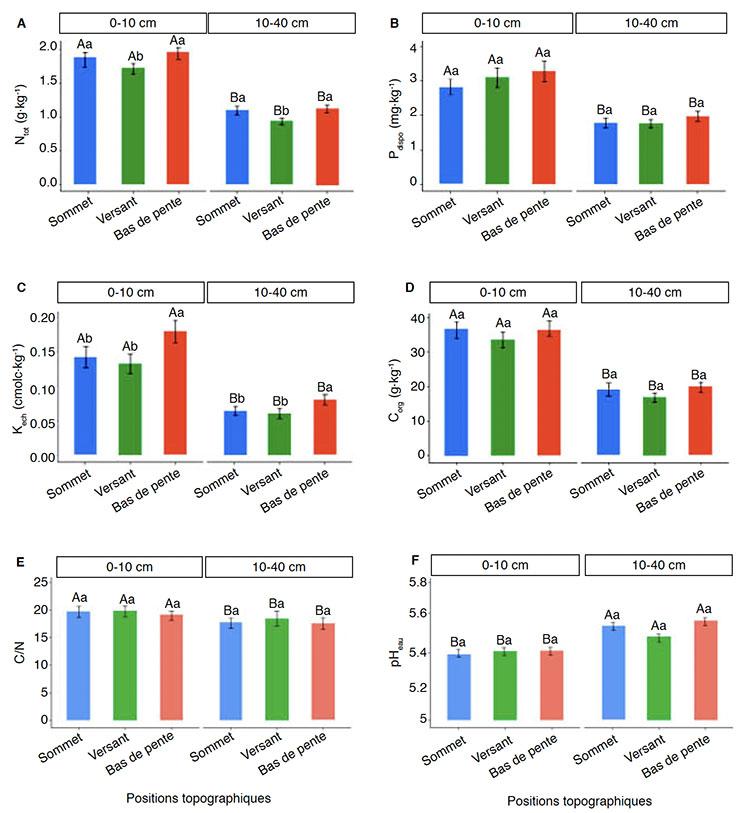 Image 10000000000002E10000032DFAC1FA382AFA62D4.jpg