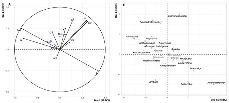 Image 10000000000002E10000014D37F6B2CD9F256F72.jpg