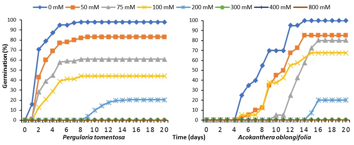 Image 10000000000004D4000001FBC644401410E77C0C.jpg