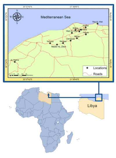 Image 1000000000000190000002208713DE3E0A887DA6.jpg