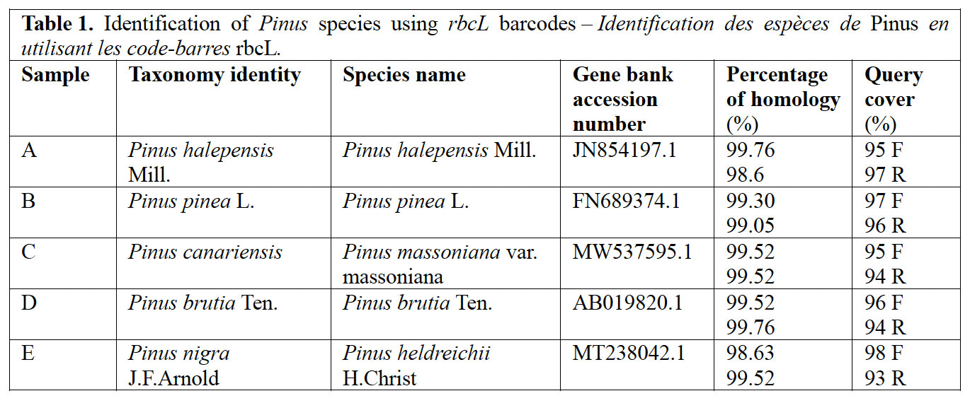 Image 100000000000055A0000023A3DF66E724D8EDB3E.jpg