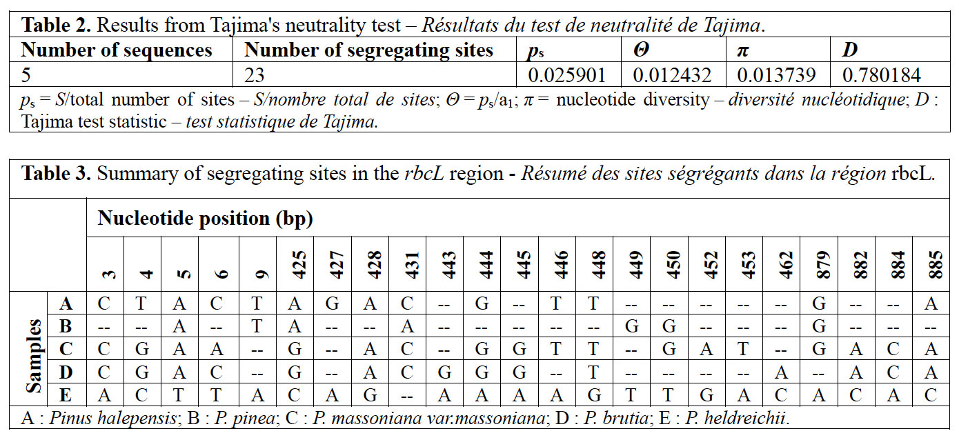Image 100000000000056E0000027ED3A0604A472AC916.jpg