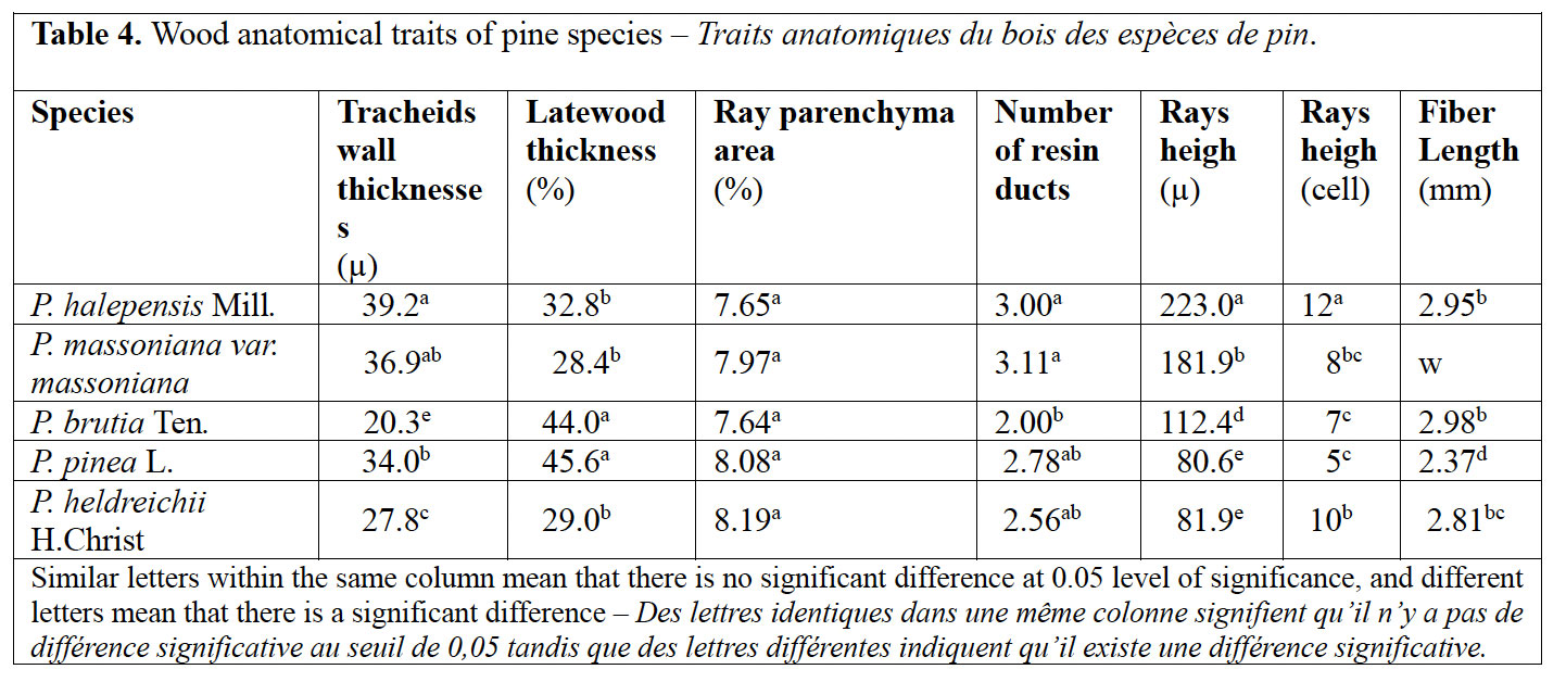 Image 10000000000005A20000027440E94A827B69607D.jpg