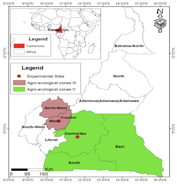 Image 10000000000002580000026FDDB6BD01848EC902.jpg