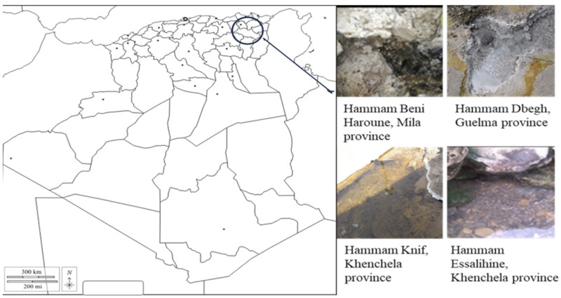 Image 1000000000000320000001A9A90E11866B3BA012.jpg