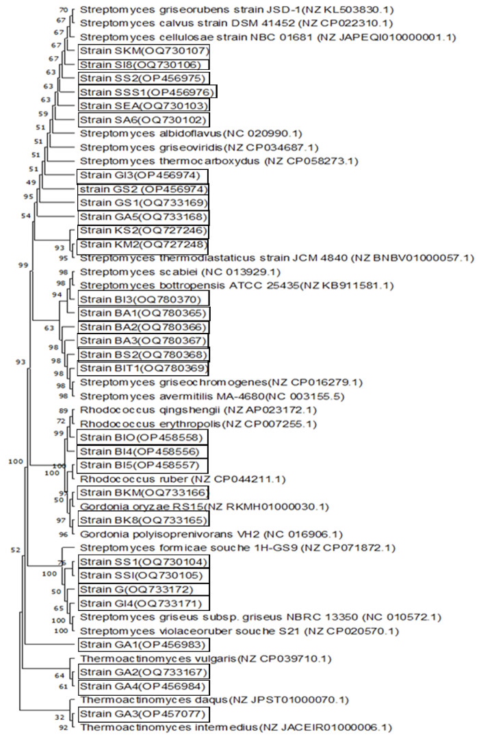 Image 10000000000002BC00000437D58B7D842904963C.jpg