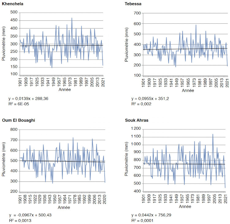 Image 10000000000002EE000002DA2D2CD95E9A800633.jpg