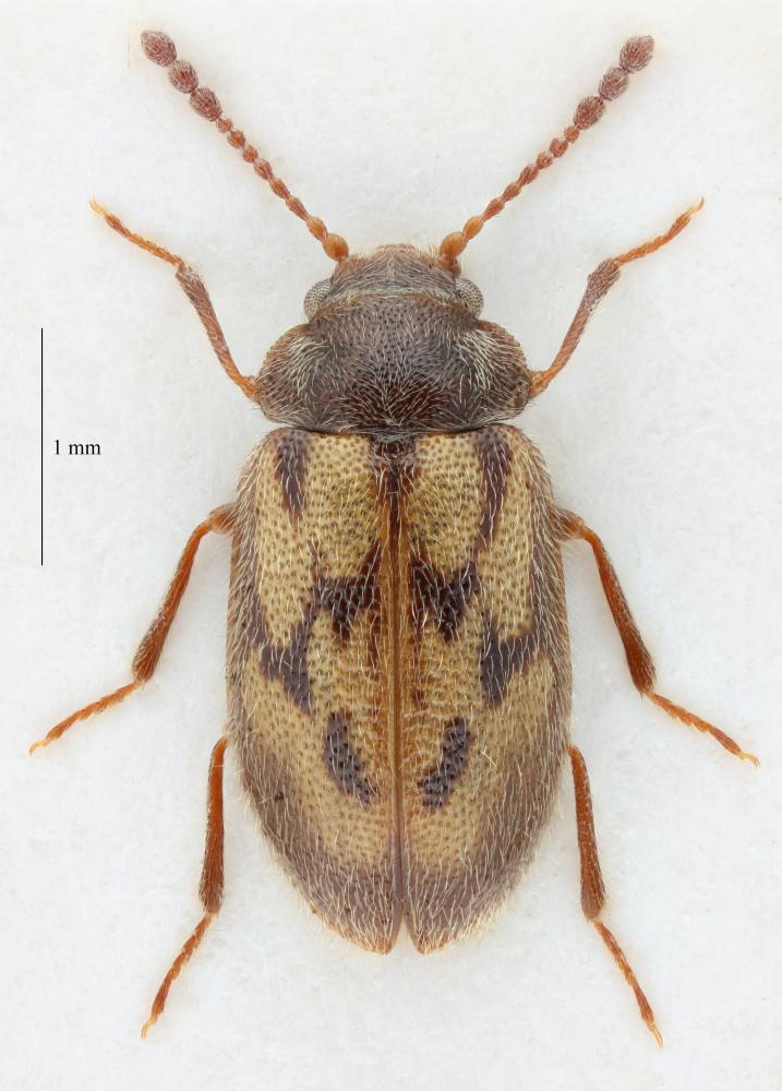 Image 10000000000002CD000003E825F0D204B8206D19.jpg