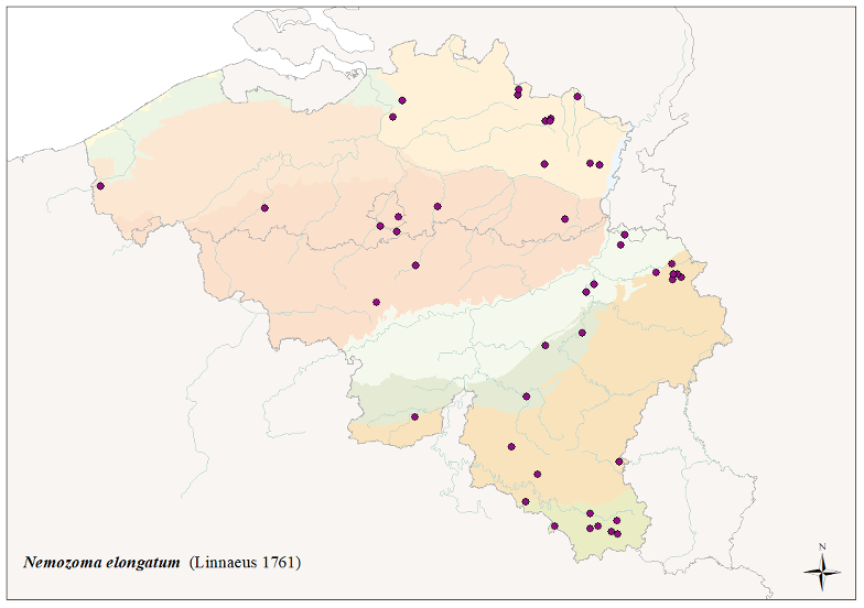 Image 1000000100000310000002285D9D9E890CEA7652.png