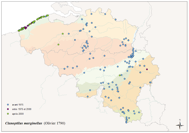 Image 10000001000003100000022716266C579DFDC467.png