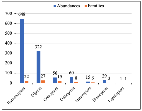 Image 10000001000001E50000017D350E58FCEEA32128.png