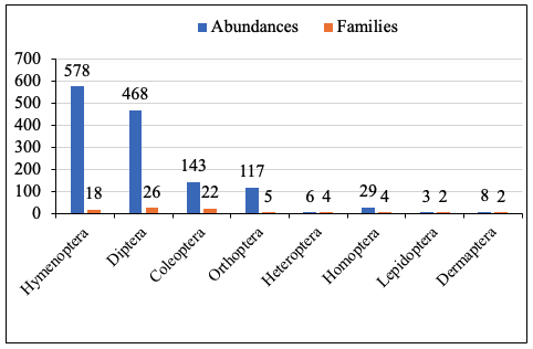 Image 10000001000001E20000013C1F7B955553384F3E.png