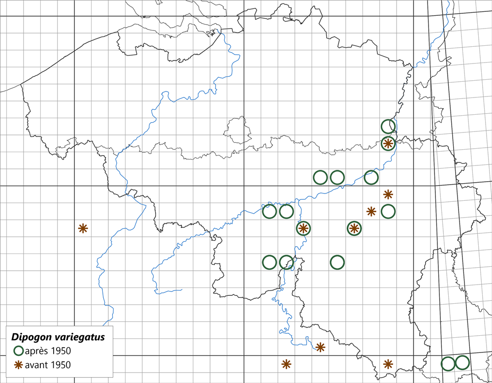Image 10000001000003E80000030AF964FF1EB3465A01.png