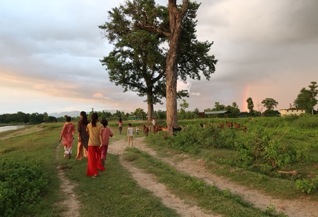 Image 1000000000000280000001B4F7877515.jpg