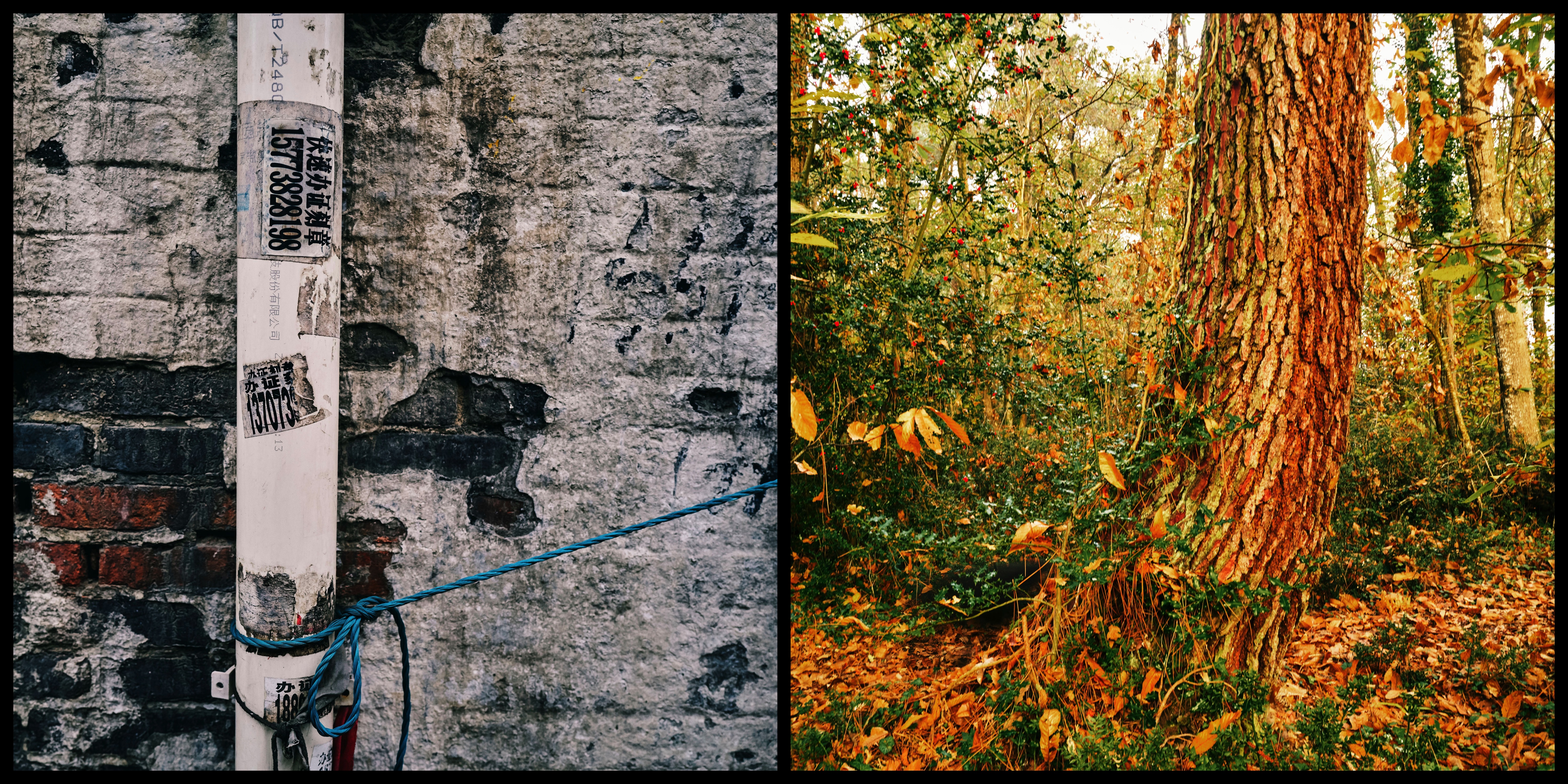 Image 100000000000177000000BB8F4294FD1.jpg