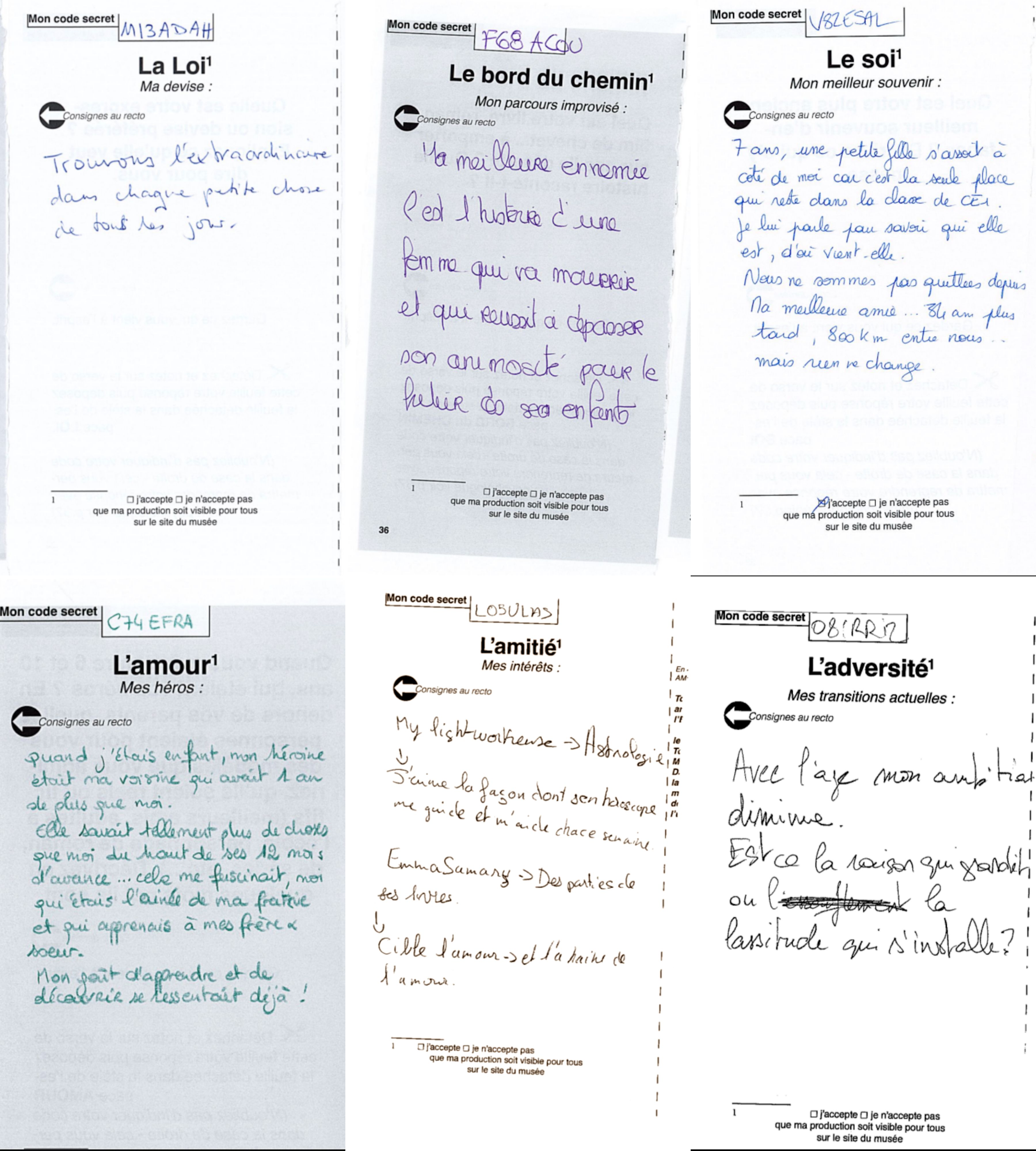 Image 1000000000000E1000000FA00AF7069A.jpg