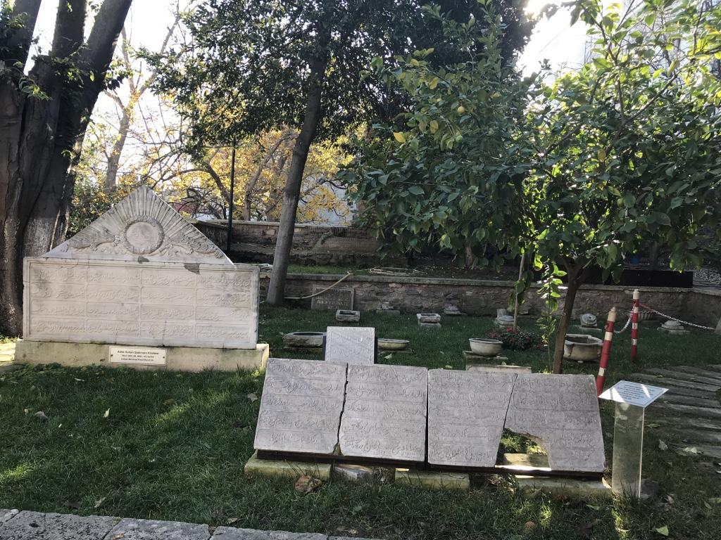 Image 1000000000000400000003001C06F454.jpg