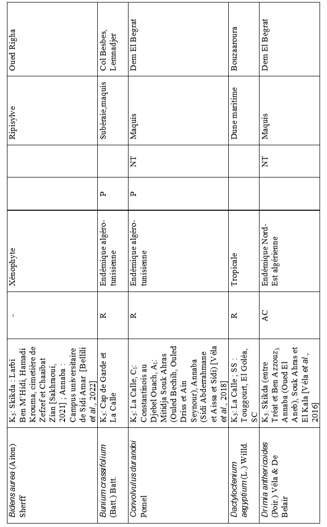 Image 100000010000029300000427ABED101C6F6680D7.png