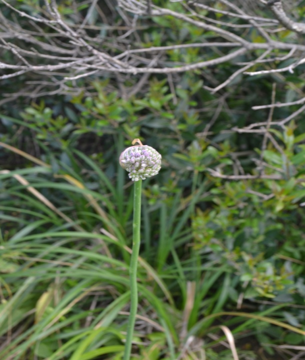 Image 1000000000000262000002D02658E8E0B6DDCEB8.jpg